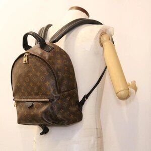 LOUIS VUITTON Monogram Palm Springs MM Backpack